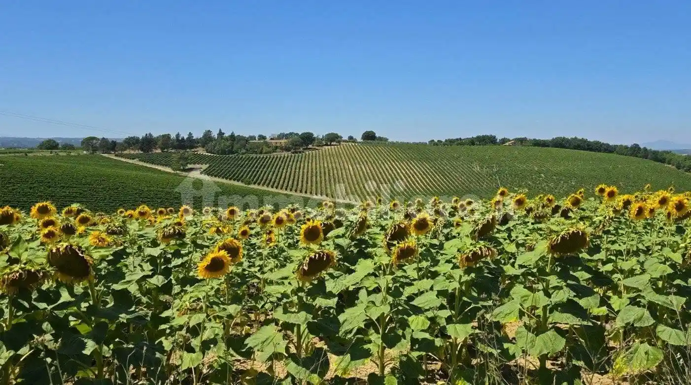 Rustico - Casale in vendita a Baschi