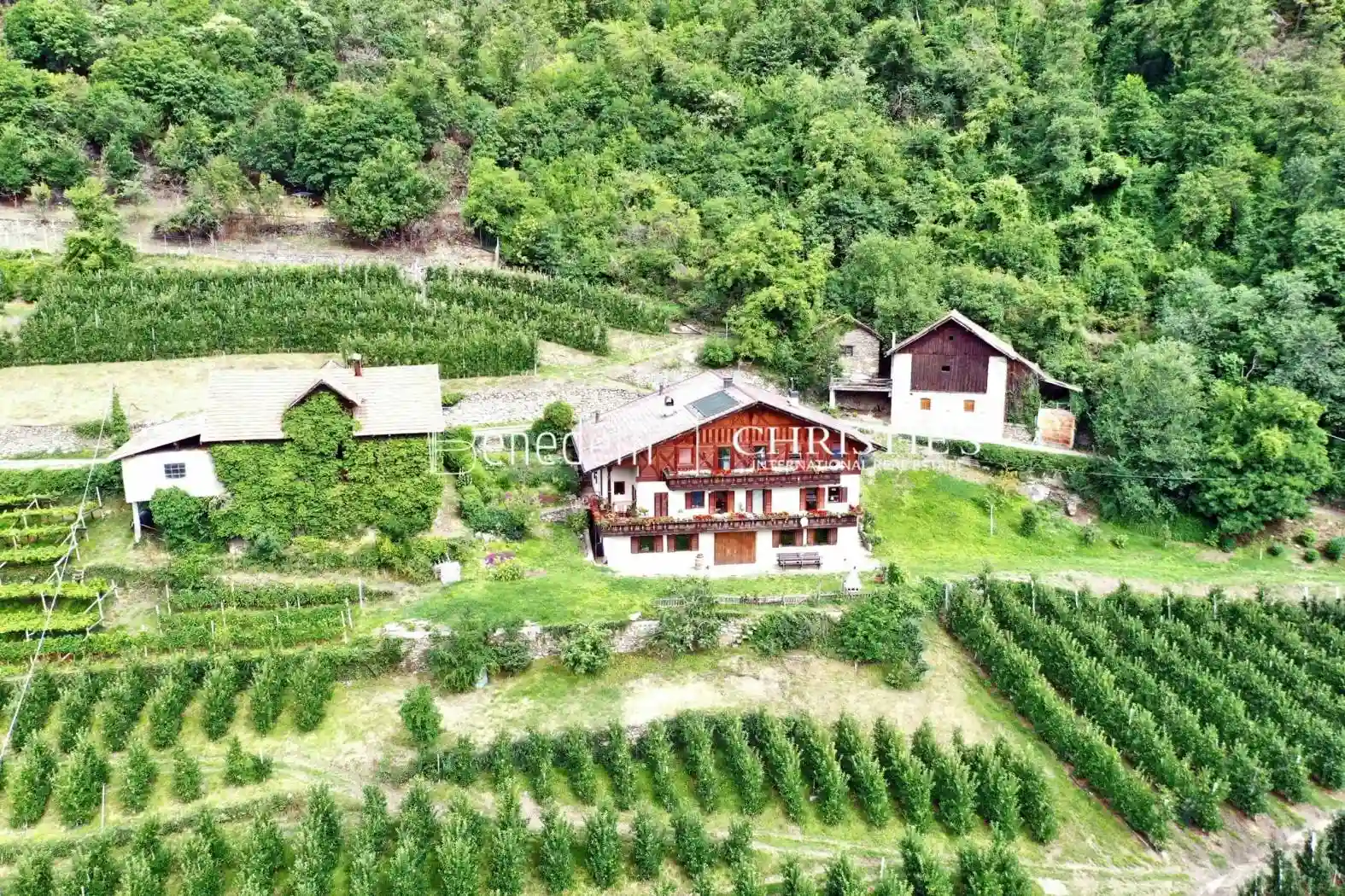 Rustico - Casale - foto 2