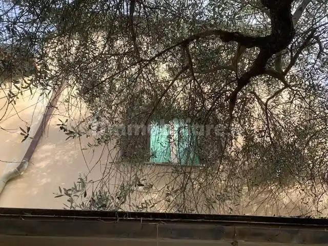 Terratetto plurifamiliare via Vecchia di Vicopelago 258, Massa Pisana - Vicopelago, Lucca - foto 2