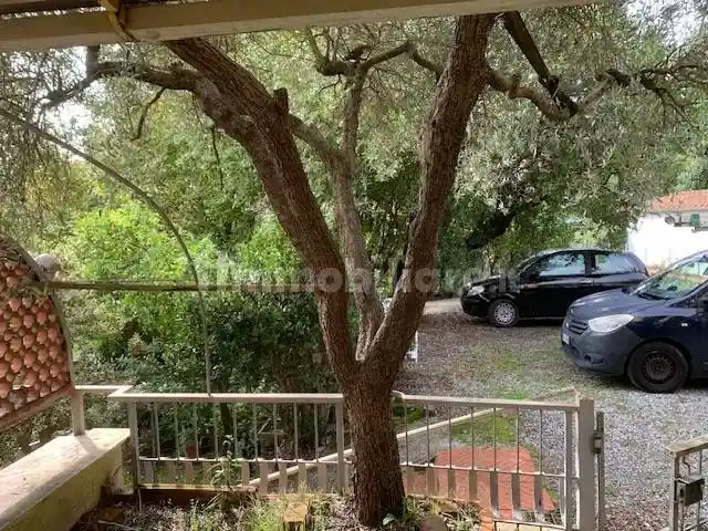 Terratetto plurifamiliare via Vecchia di Vicopelago 258, Massa Pisana - Vicopelago, Lucca - foto 4