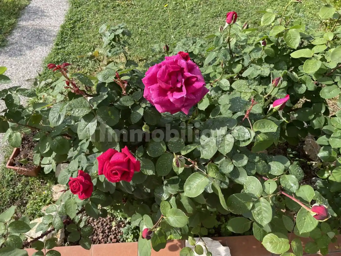 Terratetto unifamiliare 120 m², buono stato, Santa Maria del Giudice, Lucca - foto 2