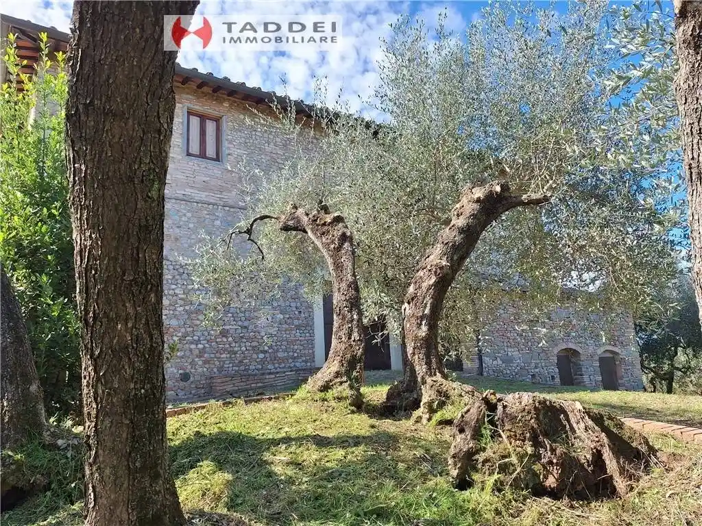 Rustico - Casale in vendita a Montespertoli