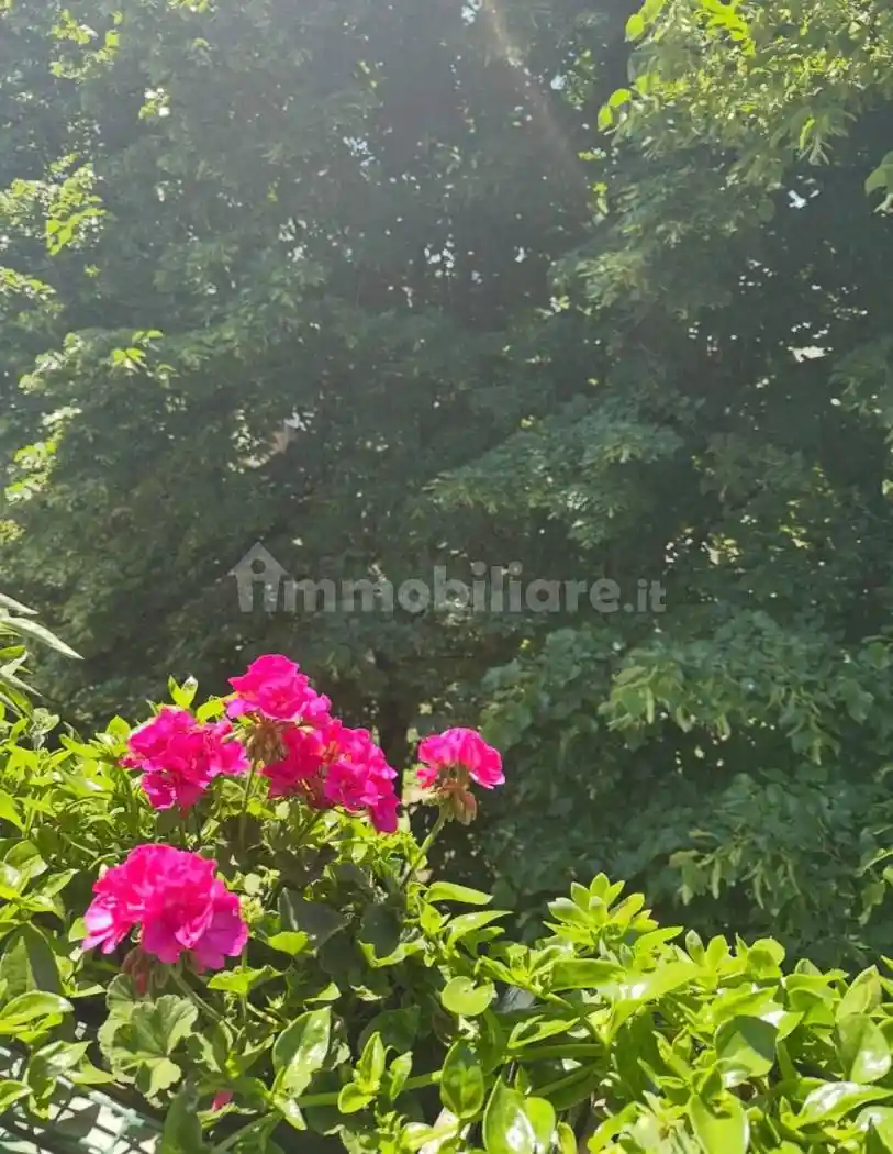 Trilocale via Gavirate, San Siro, Milano - foto 5