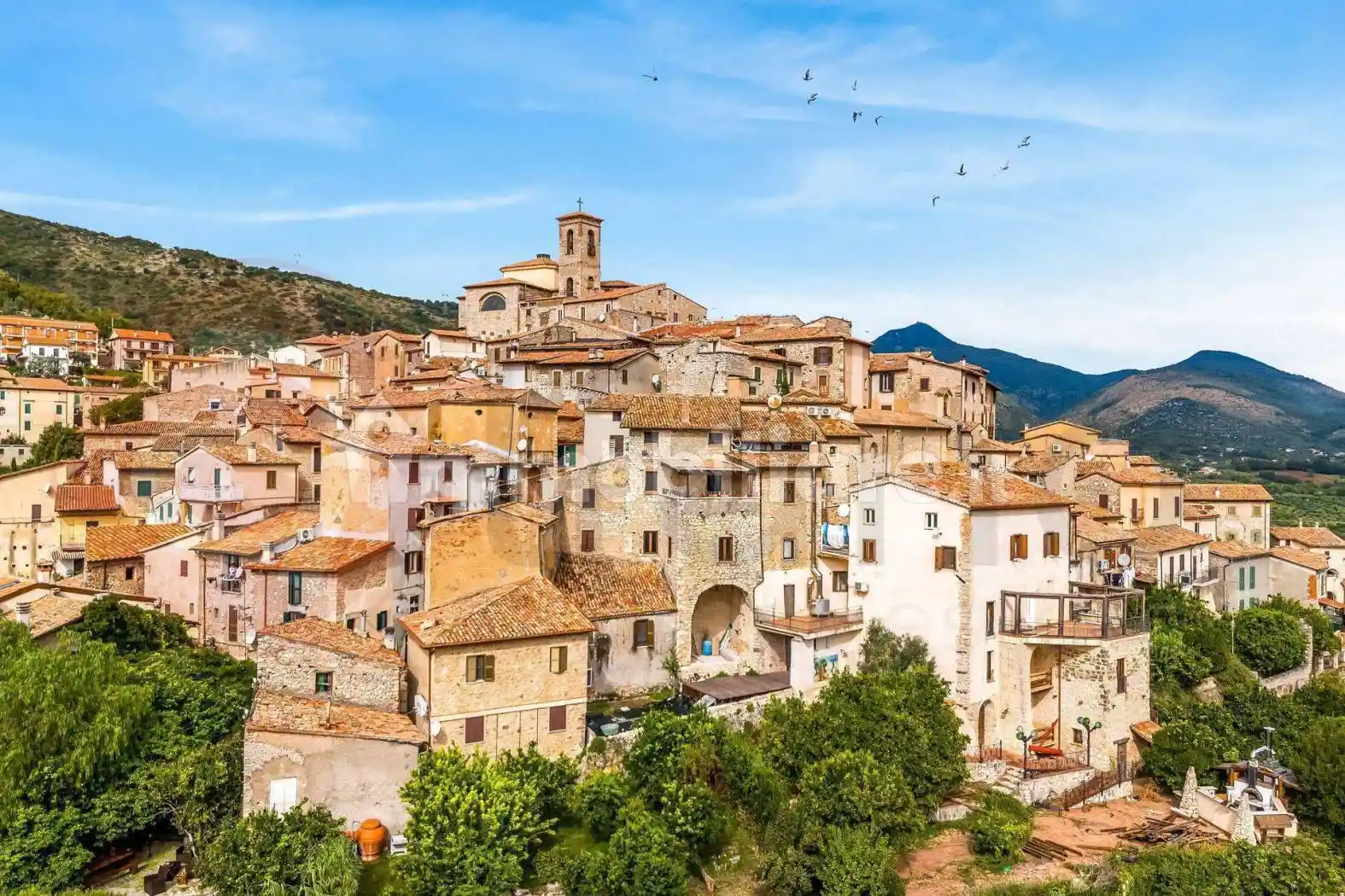 Palazzo - Edificio - foto 5