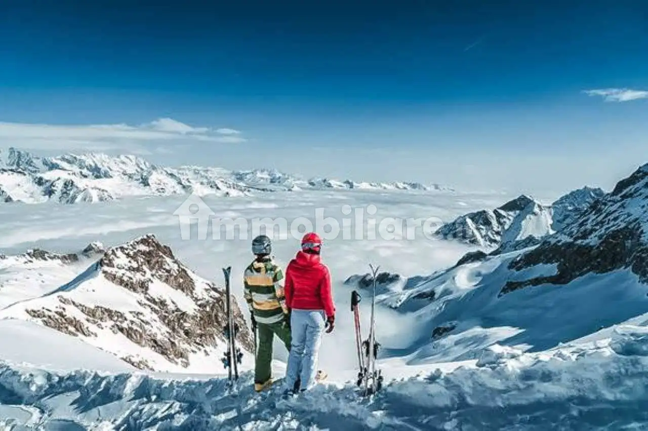 Appartamento in vendita a Malonno