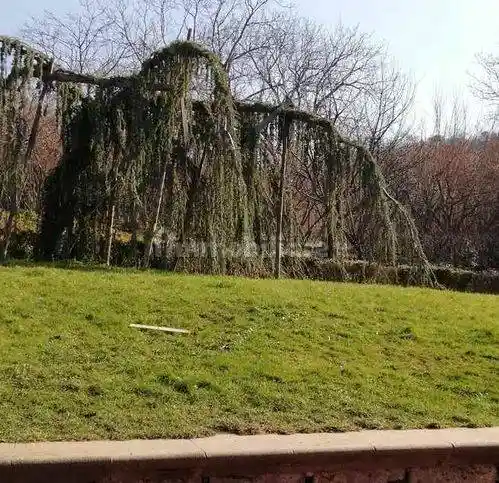 Villa unifamiliare Contrada Bagnoli 28B, Quattrograna, Bellizzi, Sant'Oronzo, Avellino - foto 4