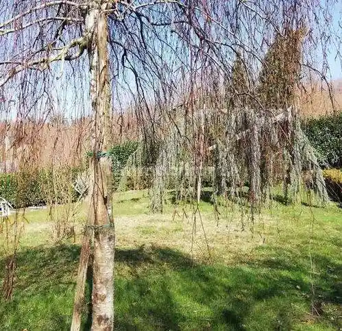 Villa unifamiliare Contrada Bagnoli 28B, Quattrograna, Bellizzi, Sant'Oronzo, Avellino - foto 5