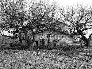 Rustico - Casale in vendita a Reggio Emilia