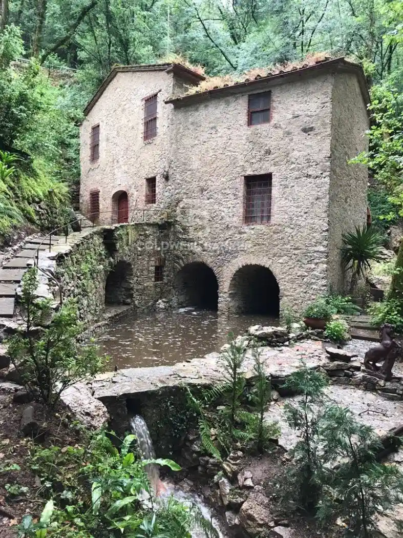 Rustico - Casale in vendita a Camaiore