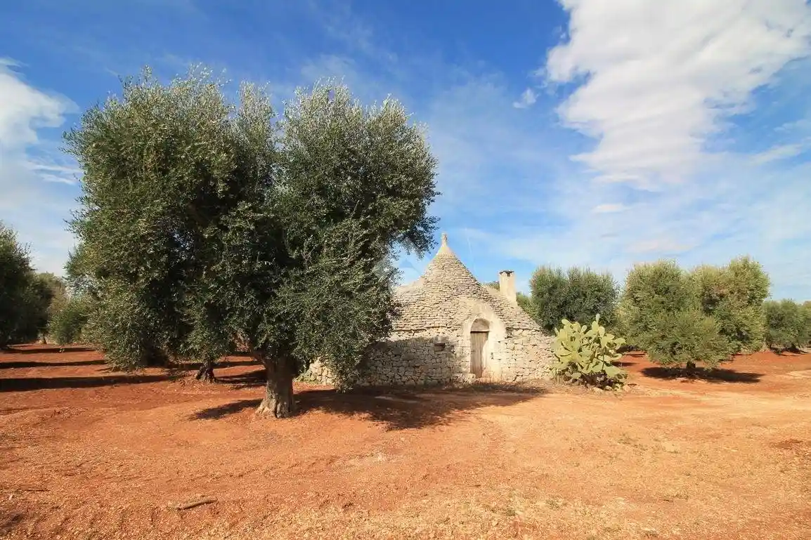 Rustico - Casale in vendita a Ostuni