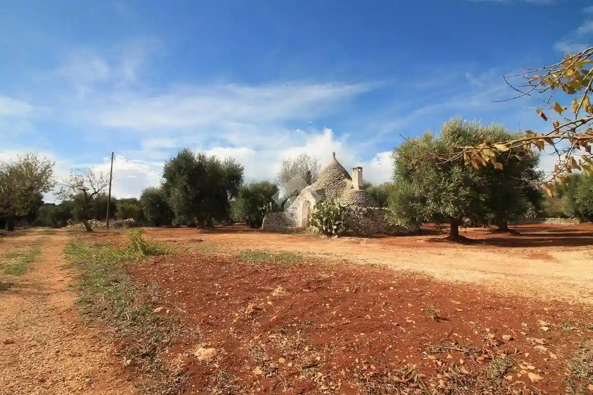 Rustico - Casale - foto 3