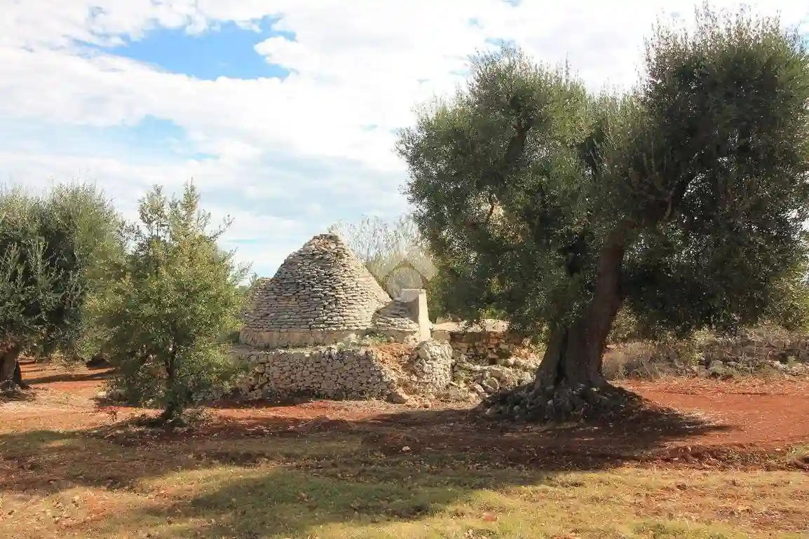 Rustico - Casale - foto 5