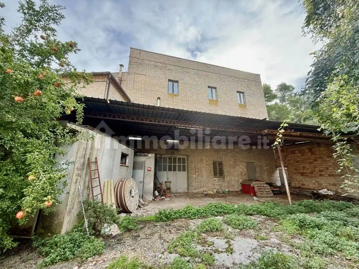 Palazzo - Edificio - foto 5