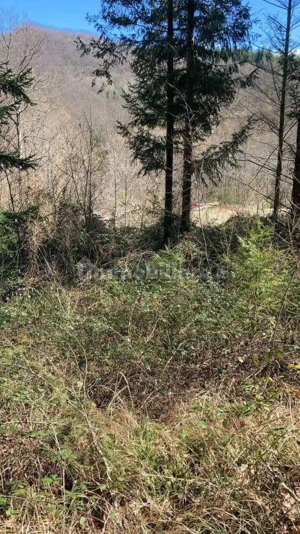 Rustico - Casale in vendita a Chiusi della Verna