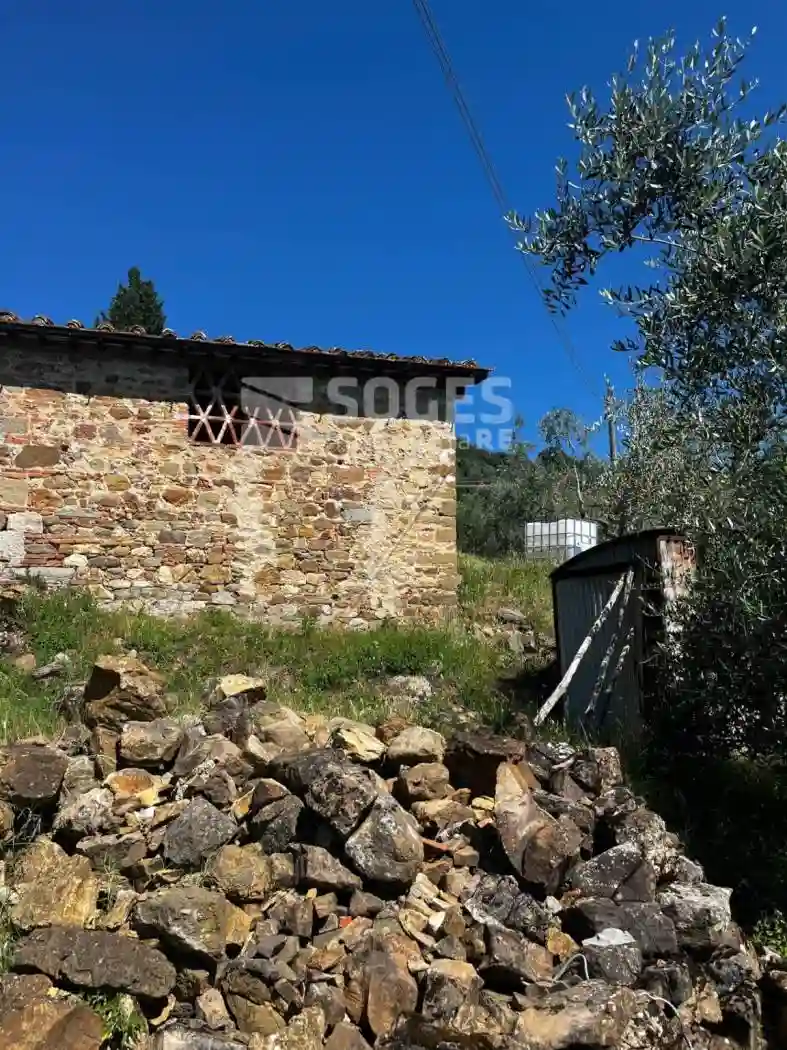 Rustico - Casale - foto 3