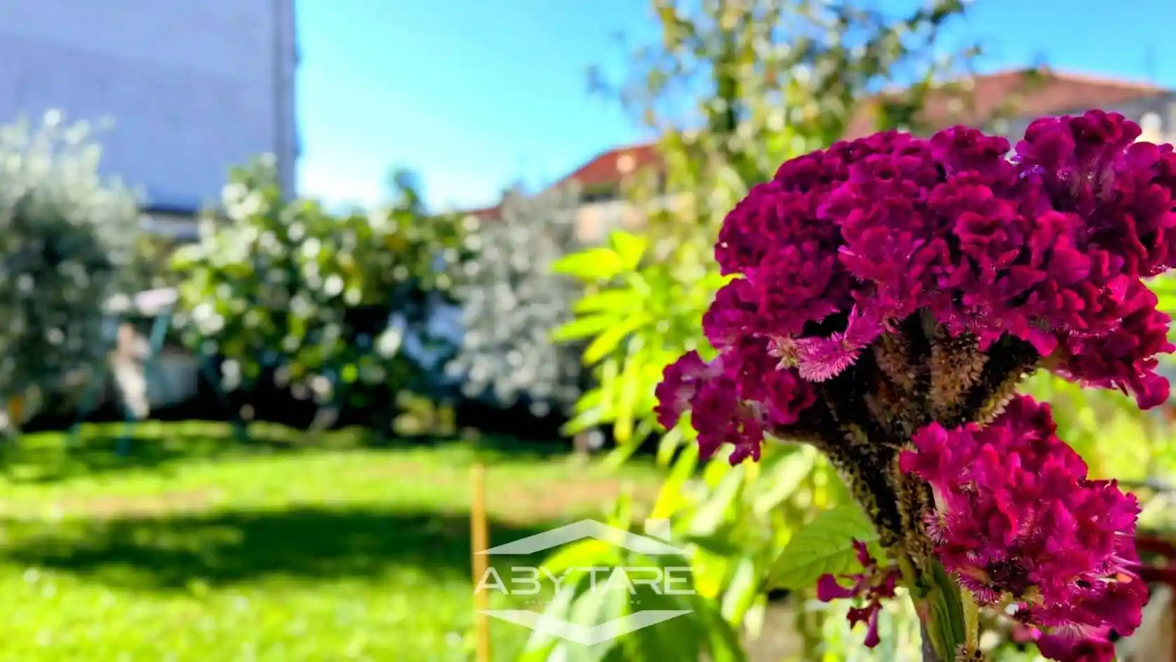 Villa in vendita a Vinovo