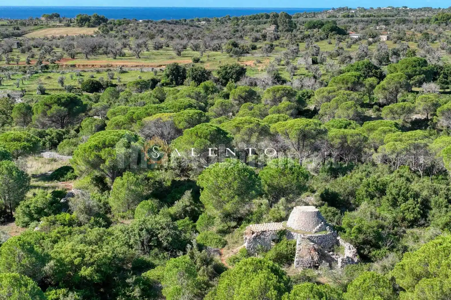 Rustico - Casale in vendita a Salve