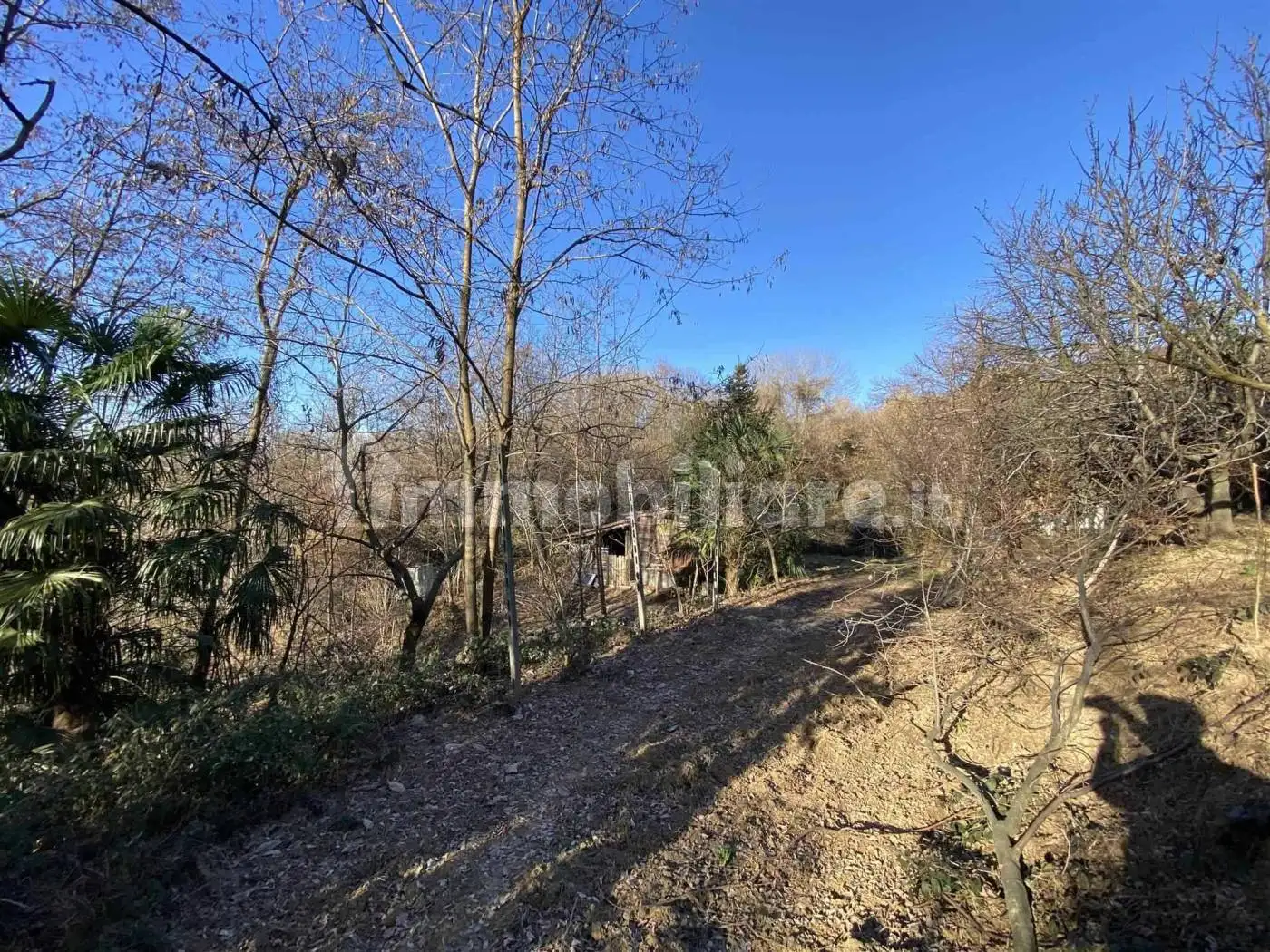 Rustico - Casale in vendita a Valle San Nicolao