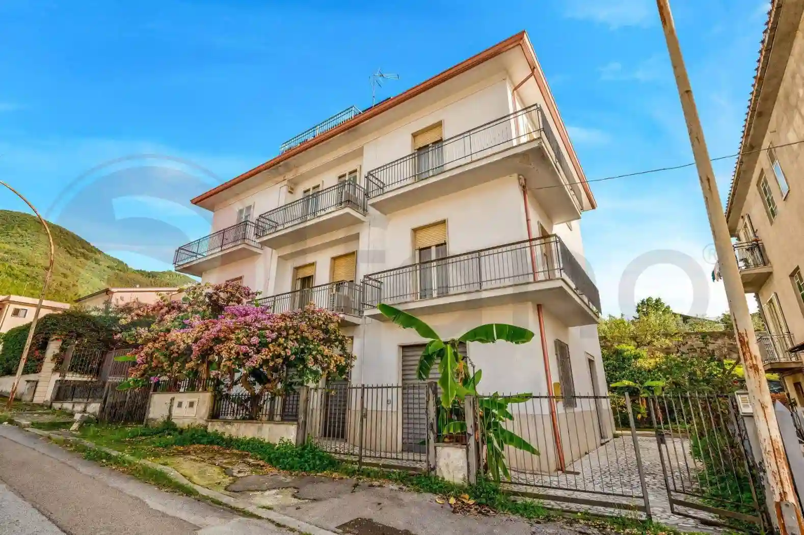 Palazzo - Edificio - foto 3