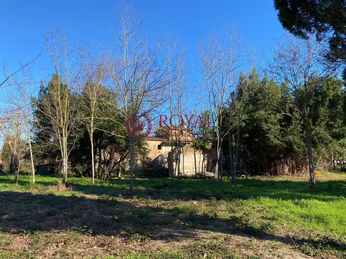 Rustico - Casale in vendita a Rosignano Marittimo