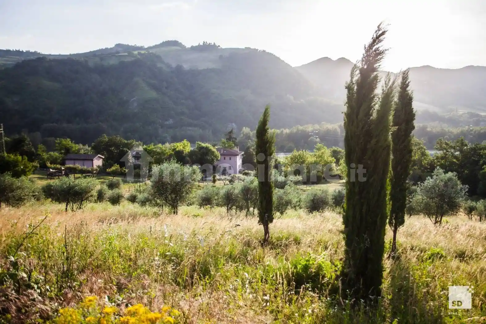 Palazzo - Edificio - foto 5