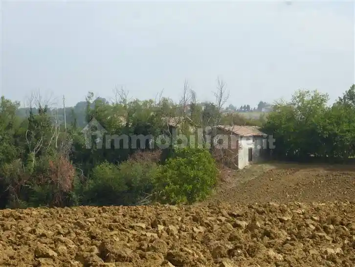 Rustico - Casale in vendita a Castelvetro di Modena