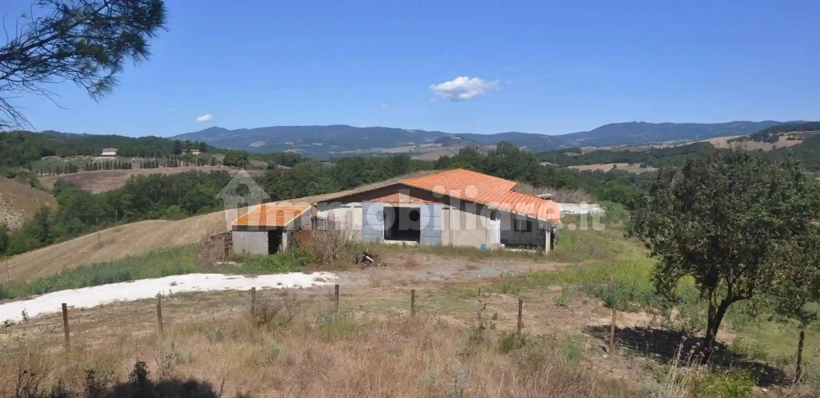 Rustico - Casale in vendita a Bibbona