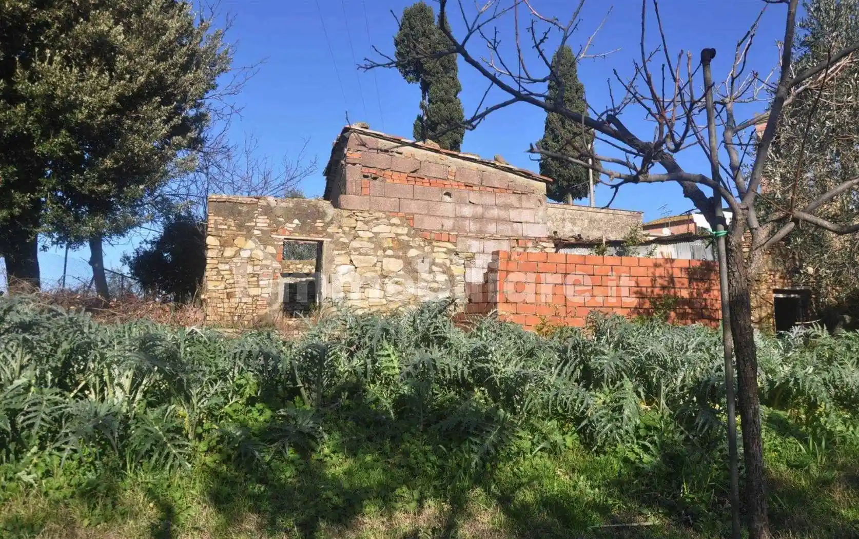 Rustico - Casale in vendita a Santa Luce
