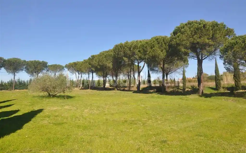 Rustico - Casale in vendita a Rosignano Marittimo