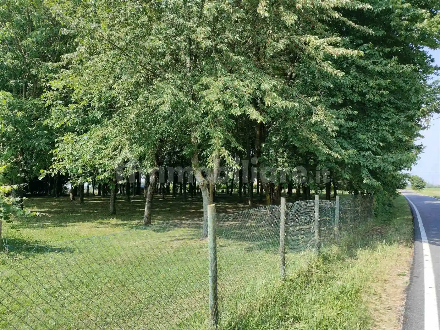 Casa indipendente in vendita a Pegognaga