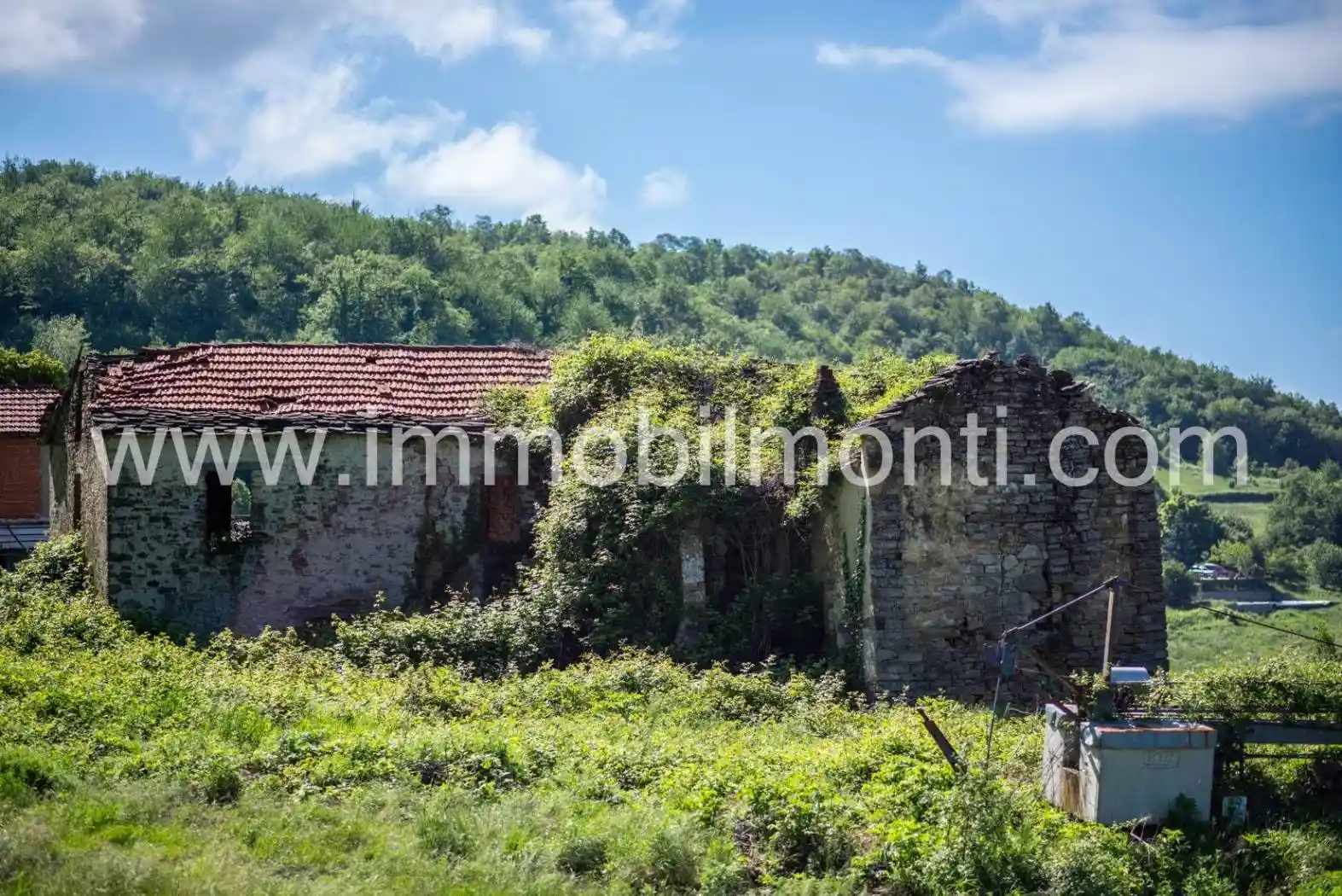 Rustico - Casale - foto 4