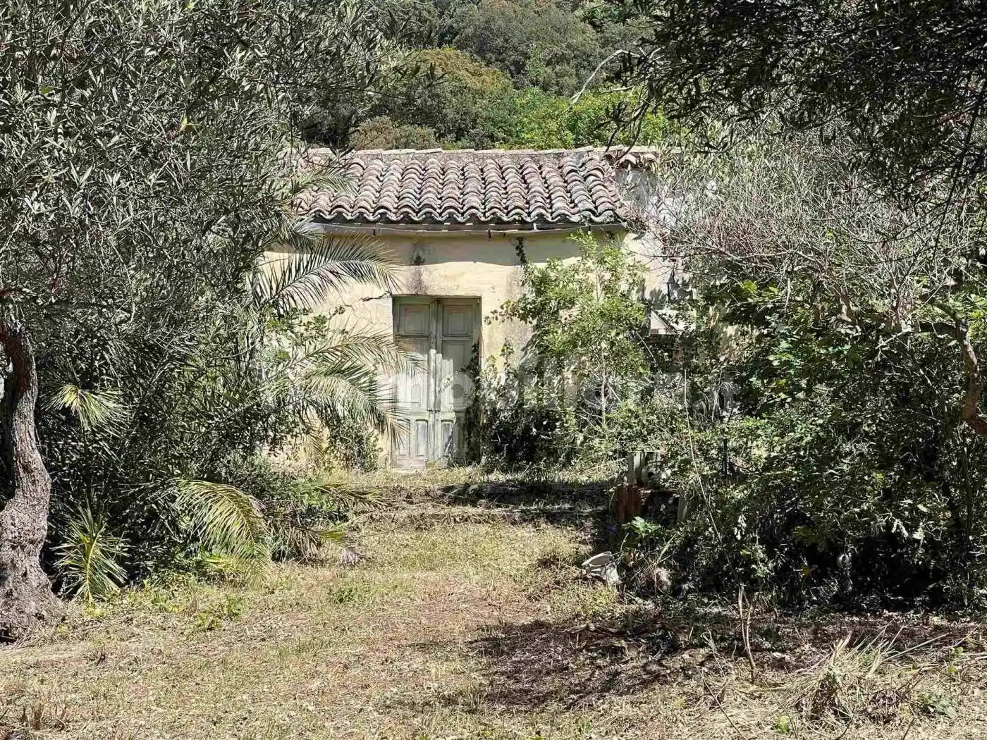 Casa indipendente in vendita a Cefalù
