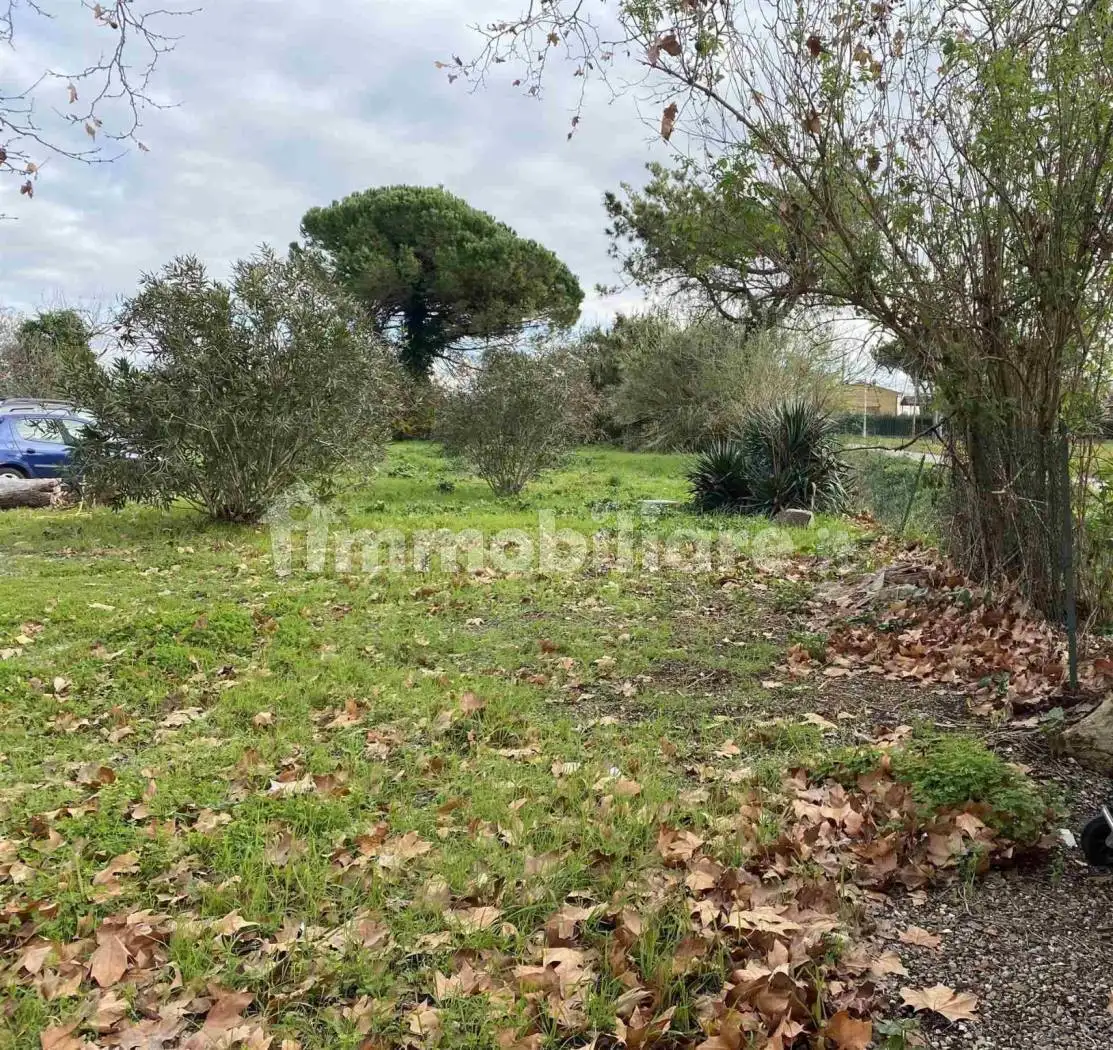 Rustico - Casale in vendita a Pisa