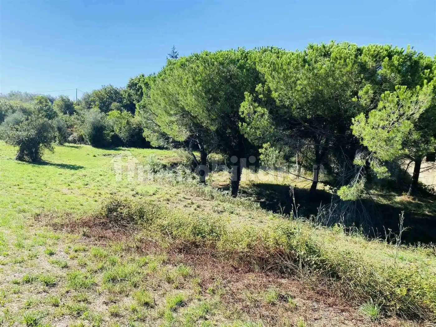 Rustico - Casale in vendita a San Giuliano Terme