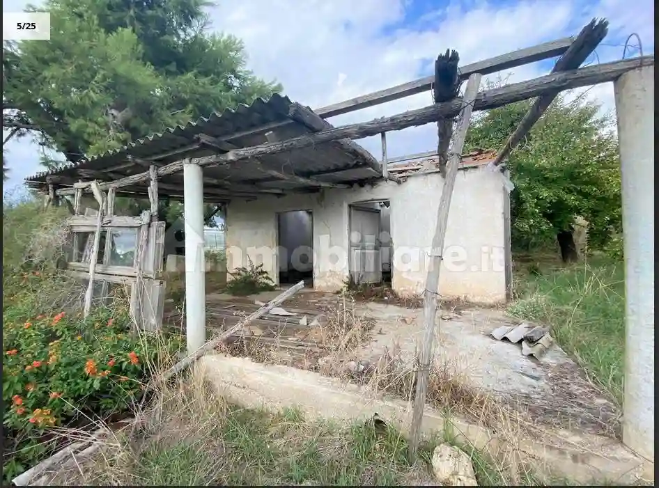 Rustico - Casale - foto 5