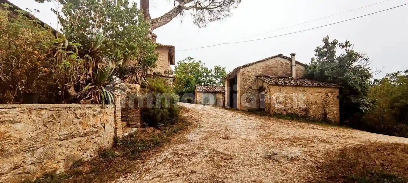 Rustico - Casale - foto 5