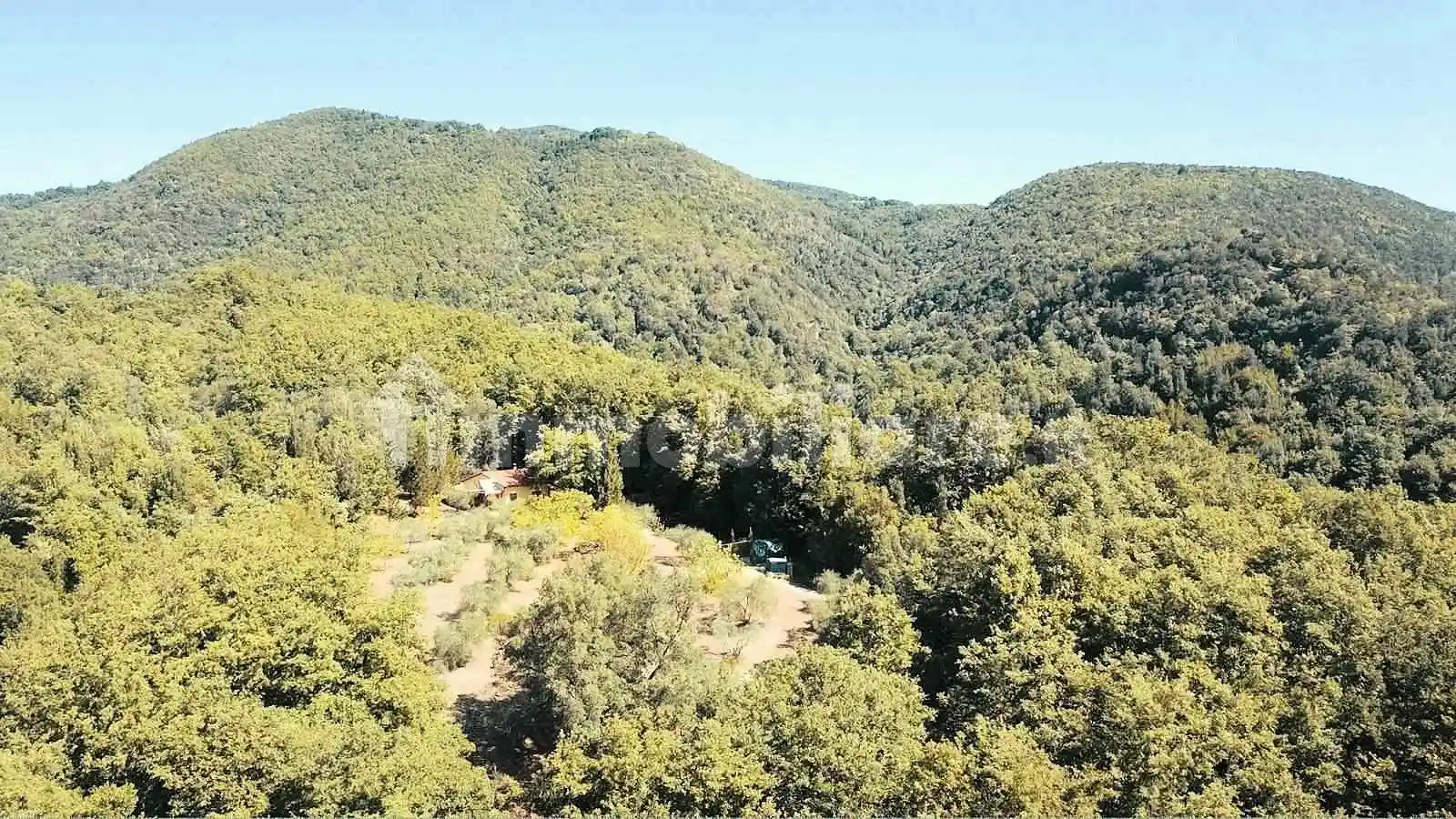 Rustico - Casale in vendita a Roccastrada