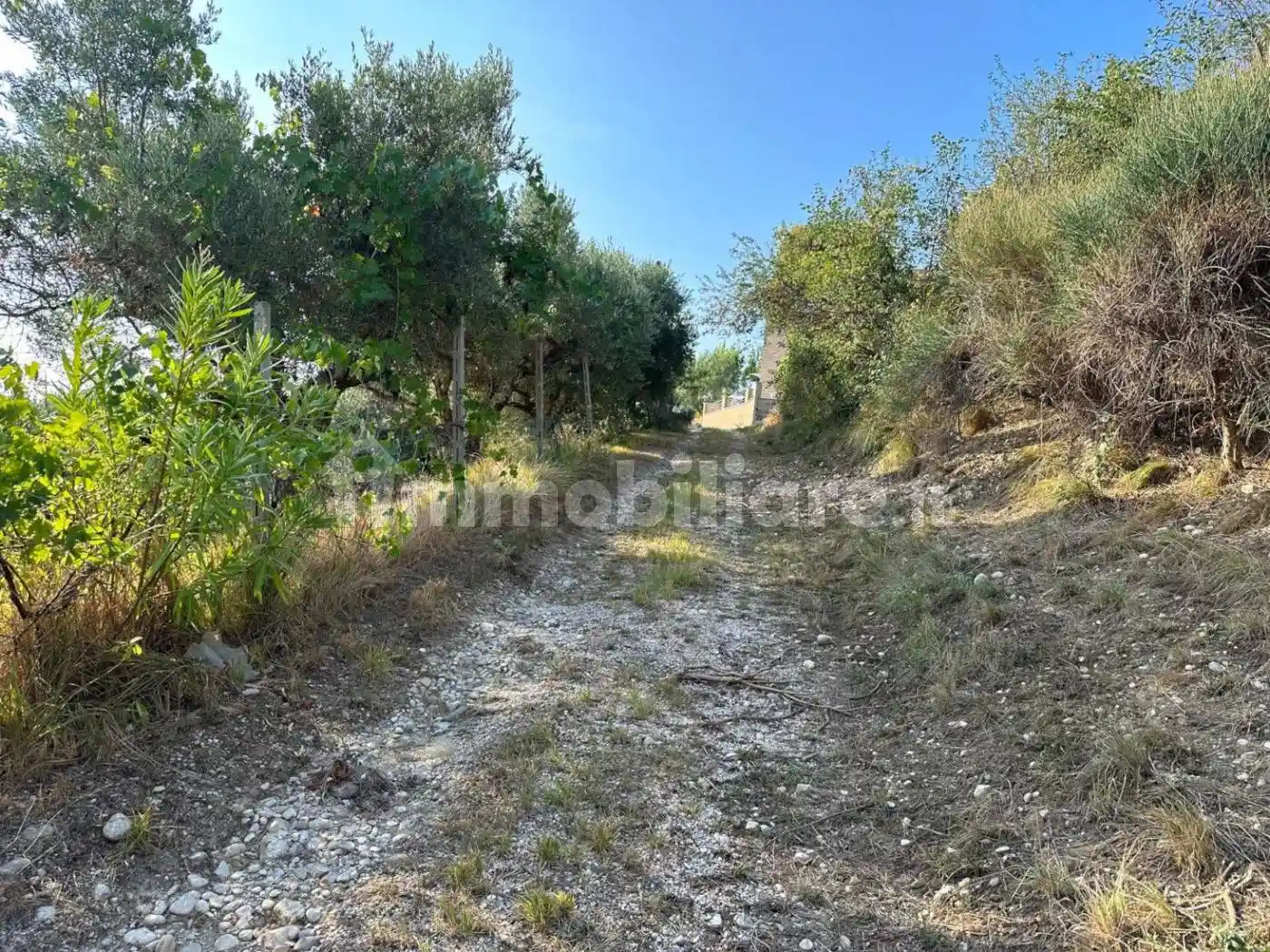 Casale via Colle della Giustizia, Centro, Atri - foto 4