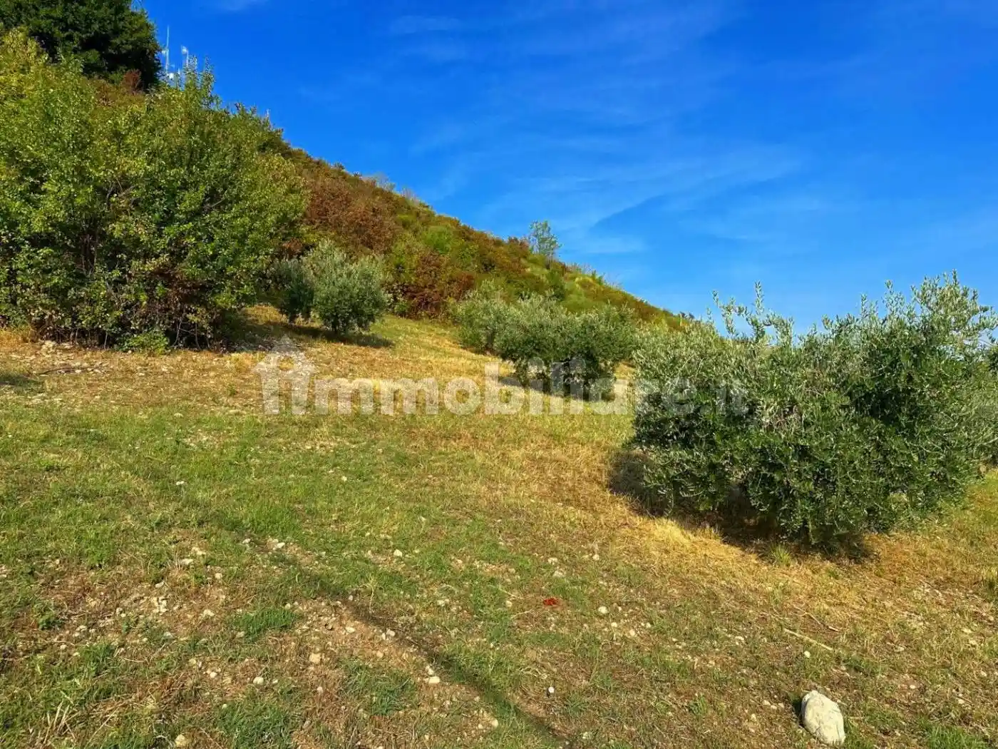 Casale via Colle della Giustizia, Centro, Atri - foto 5
