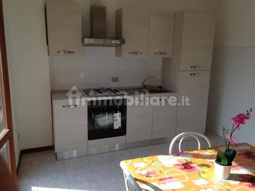 Appartamento in affitto a Pisa