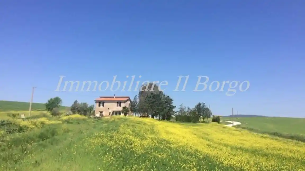 Rustico - Casale in vendita a Scansano