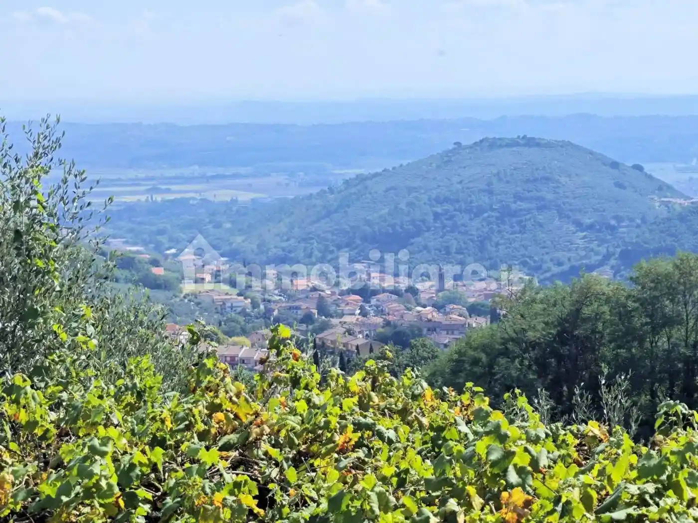 Rustico - Casale in vendita a Buti