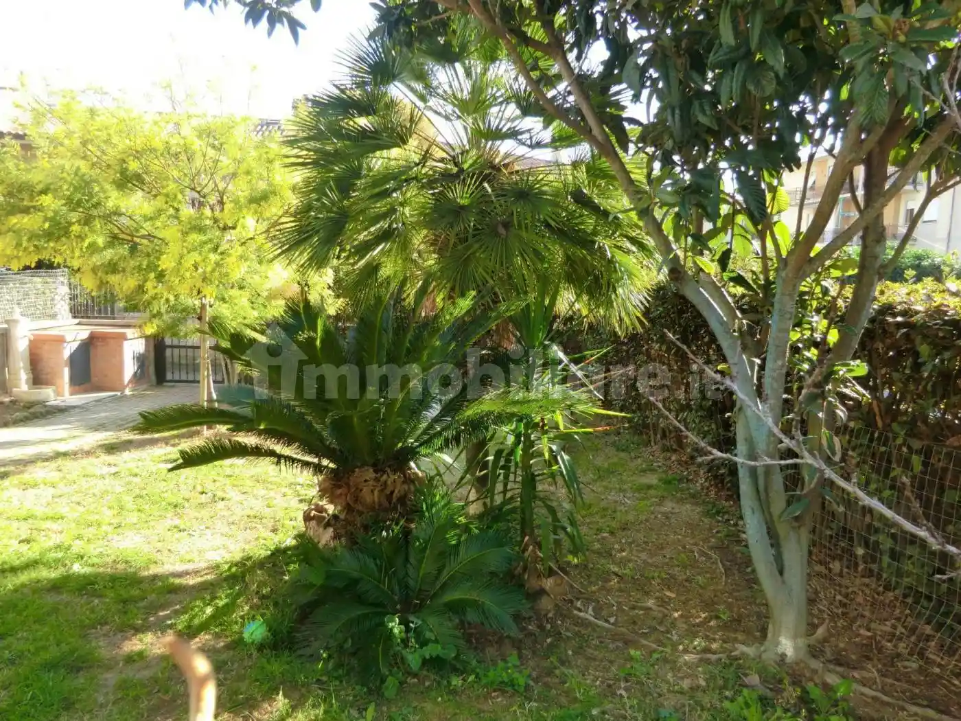 Villetta a schiera in vendita a Scarlino