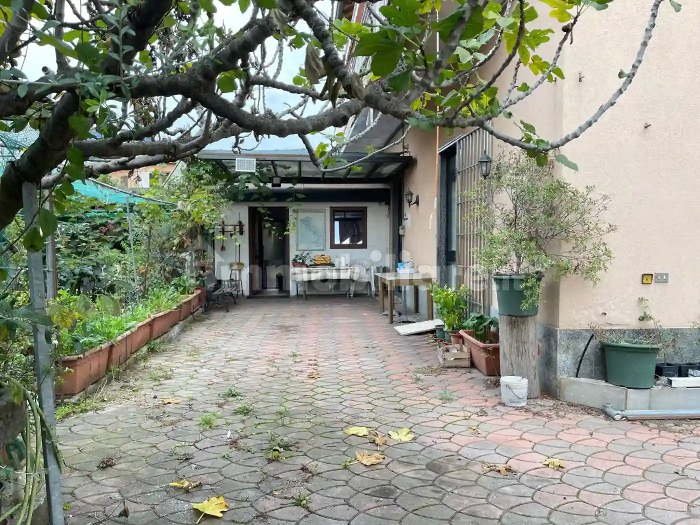 Palazzo - Edificio - foto 5