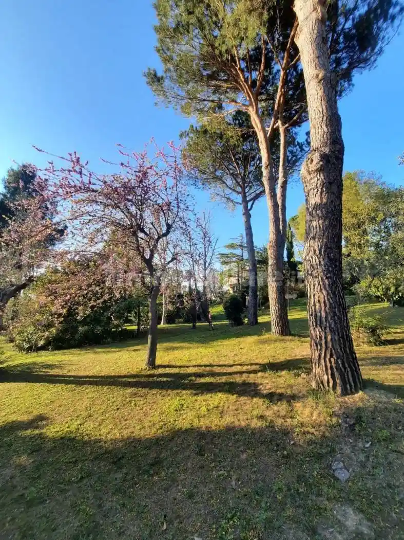 Villa unifamiliare via San Lorenzo a Monte 24, Sant'Aquilina, Rimini - foto 4