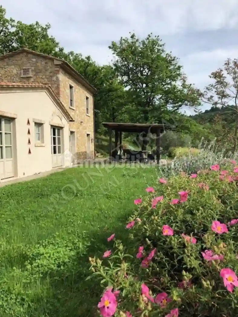 Rustico - Casale - foto 3