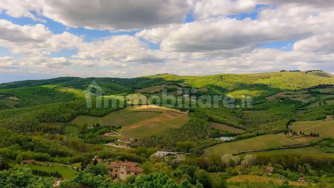 Rustico - Casale in vendita a Radda in Chianti