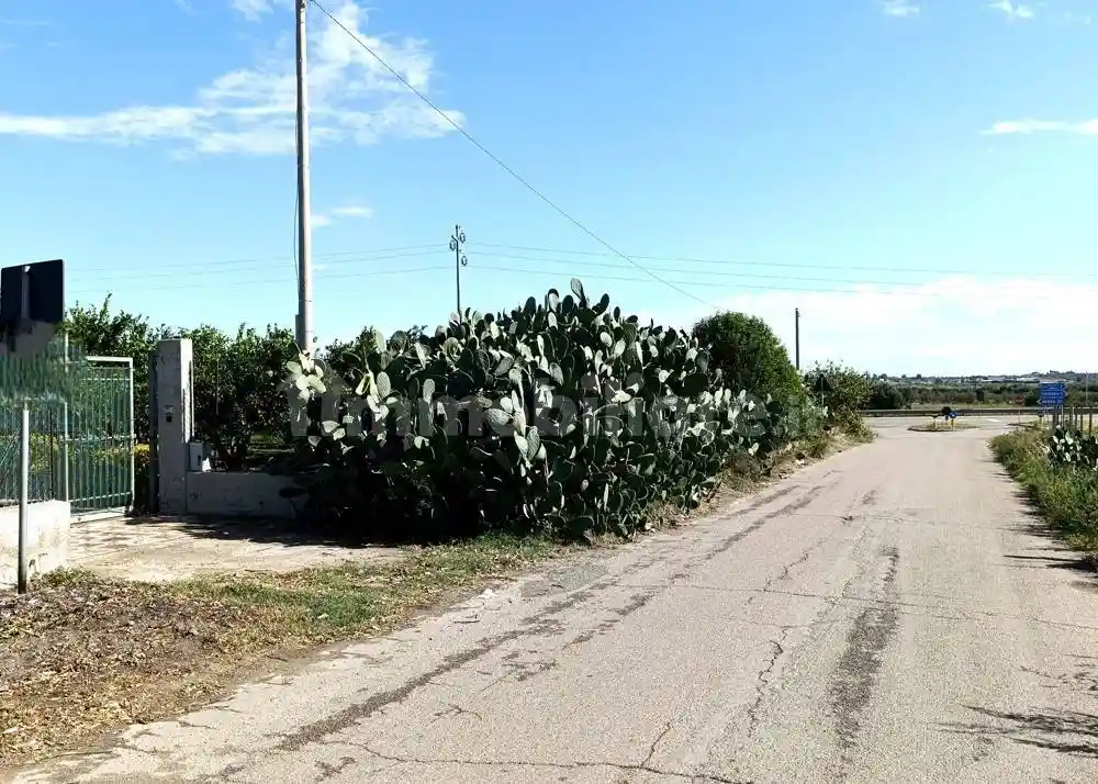 Villa unifamiliare Contrada San Marco, Bernalda - foto 3