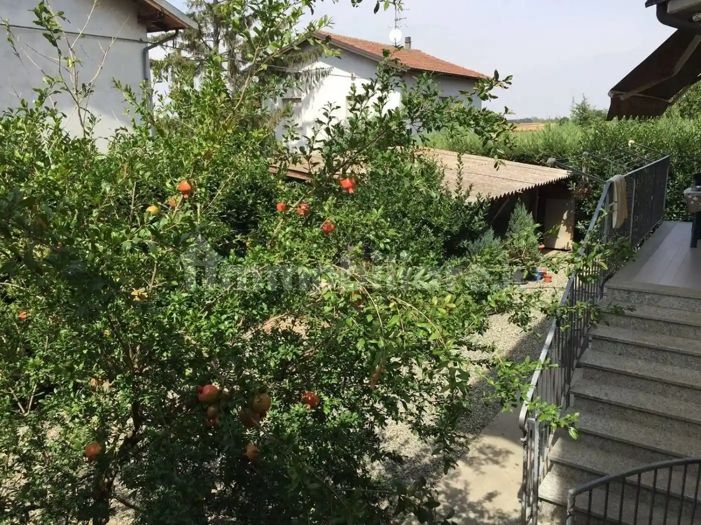 Villa unifamiliare via Novi San C., Area Produttiva, Basaluzzo - foto 3