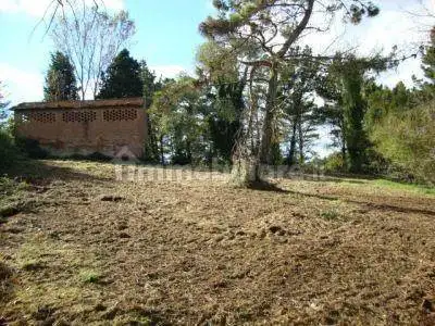 Rustico - Casale in vendita a Pontedera